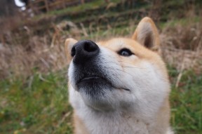 kaiyun官方网站-英超本轮比赛中多支豪门陷入困境，英超qg