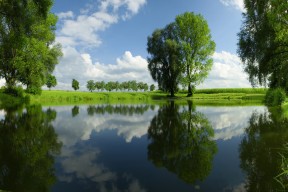 开云·Kaiyun网页版-弗拉门戈主场表现抢眼，弗拉门戈对竞技俱乐部