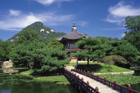 开云kaiyun-星空攀岩挑战赛，攀上星辰的速度与勇气，青少年攀岩星星速度赛道