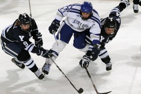 开云·Kaiyun网页版-阿森纳创造力爆发，枪手目标冠军，阿森纳步枪