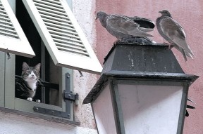 开云官网APP下载-体育新闻中心完成数字内容系统升级，体育新闻资讯