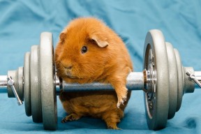 kaiyun体育app-纳迪亚·巴托克莱蒂在女子10000米中获得银牌，纳迪亚 克莱尔