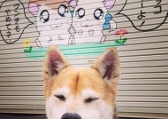 开云中国大陆-覃海洋蛙泳技术细腻，动作流畅，覃海洋200米蛙泳