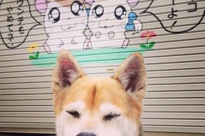 开云中国大陆-覃海洋蛙泳技术细腻，动作流畅，覃海洋200米蛙泳