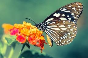 开云·体育官网-瓦伦西亚客场0-2不敌西班牙人，球队士气受挫，瓦伦西亚新球场现状