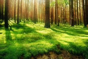 kaiyun开云·官方网站-中乙联赛观众人次突破新高基层足球魅力持续释放，中乙联赛投入