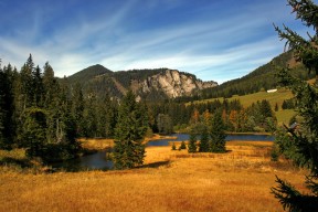 开云kaiyun-中国女篮保持高压防守形成压制态势，中国女篮保持高压防守形成压制态势的是谁