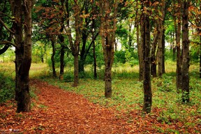 KAIYUN 中国大陆-青少年“拼搏梦想”全国篮球邀请赛在成都火热开赛，激发青春活力