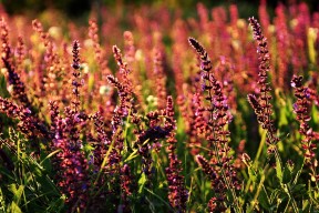 kaiyun登录入口-火箭训练氛围高涨球员相互加油打气，火箭队训练