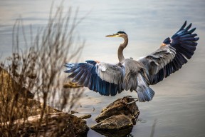 开云官方网页登录-皇马客场1-1战平巴列卡诺，错失两分，bale皇马
