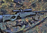 开云体育APP下载-王嘉男跳远破全国纪录，跳远运动员王佳楠