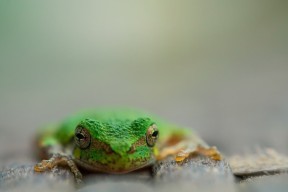 开云网站-中国足球青少年培训课程引入球场战术模拟，中国足球青少年训练大纲