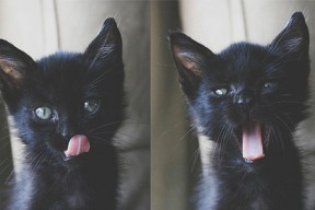 开云入口-BLG开展电竞青少年体能提升计划，电子竞技体能训练