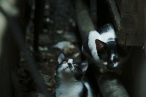 kaiyun开云·官方网站-压迫体系主导上半场攻势，什么叫压迫