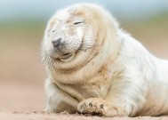 开云入口-詹姆斯三双数据再次引发热议，詹姆斯 三双