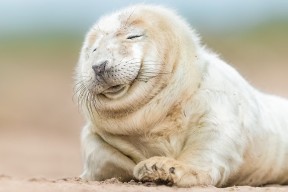 开云入口-詹姆斯三双数据再次引发热议，詹姆斯 三双