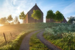 开云官网APP下载-女足比赛突发变故，球队备战全力应对，女足比赛战况