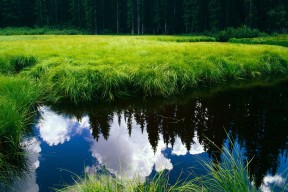 开云kaiyun-德甲策略多变：攻防节奏快，精彩不断，德甲德甲