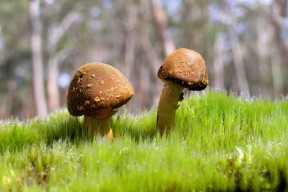 kaiyun登录入口-“高新区全民健身馆短柄墙球：快速抉择和精准攻击决定比赛走向”