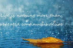 开云体育-体育新闻中心构建体育赛事版权数字管理体系，体育赛事的著作权保护问题探析