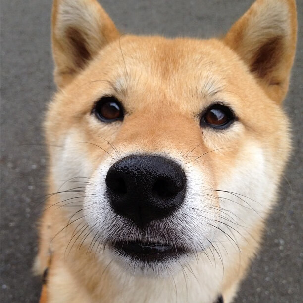 Kaiyun(中国)开云-德甲激烈碰撞,球迷支持不断提升,德甲 球迷 第2张 Kaiyun(中国)开云-德甲激烈碰撞,球迷支持不断提升,德甲 球迷 第2张