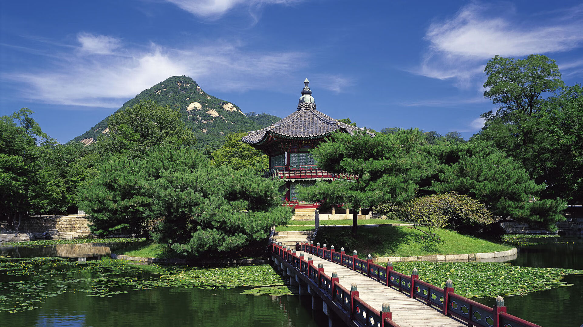 开云kaiyun-星空攀岩挑战赛,攀上星辰的速度与勇气,青少年攀岩星星速度赛道 第1张 开云kaiyun-星空攀岩挑战赛,攀上星辰的速度与勇气,青少年攀岩星星速度赛道 第1张