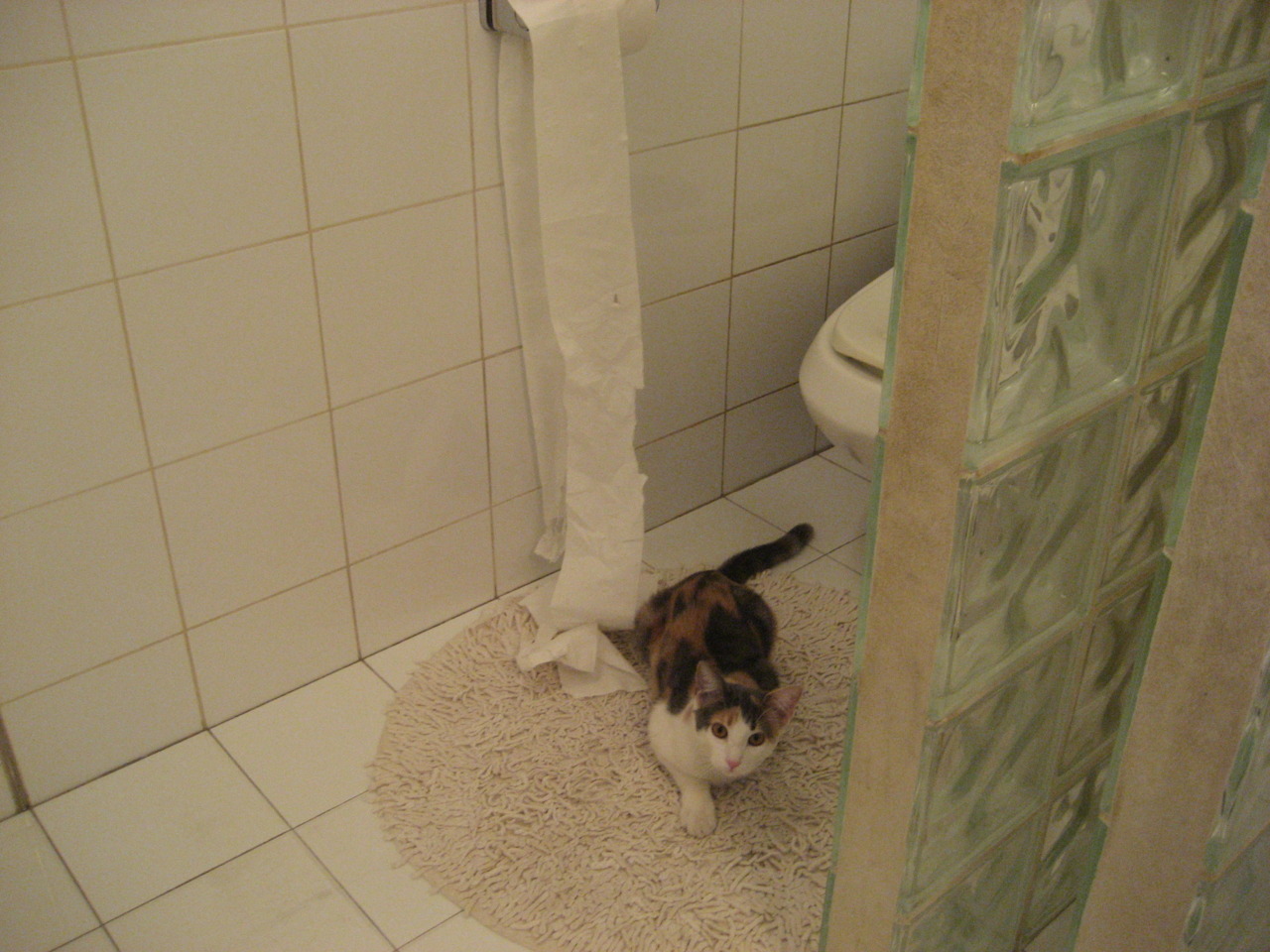 开云体育APP下载-新星崛起:豪门车队争夺未来冠军的希望,新星崛起的成语 第2张 开云体育APP下载-新星崛起:豪门车队争夺未来冠军的希望,新星崛起的成语 第2张