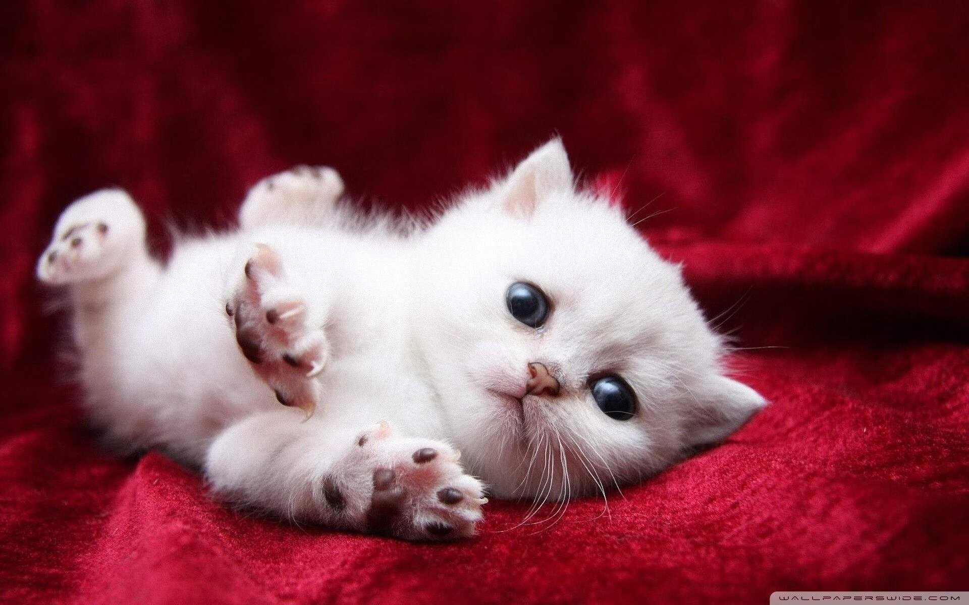 kaiyun中国官方网站-比赛现场：你错过的精彩瞬间集锦，比赛精彩时刻  第2张