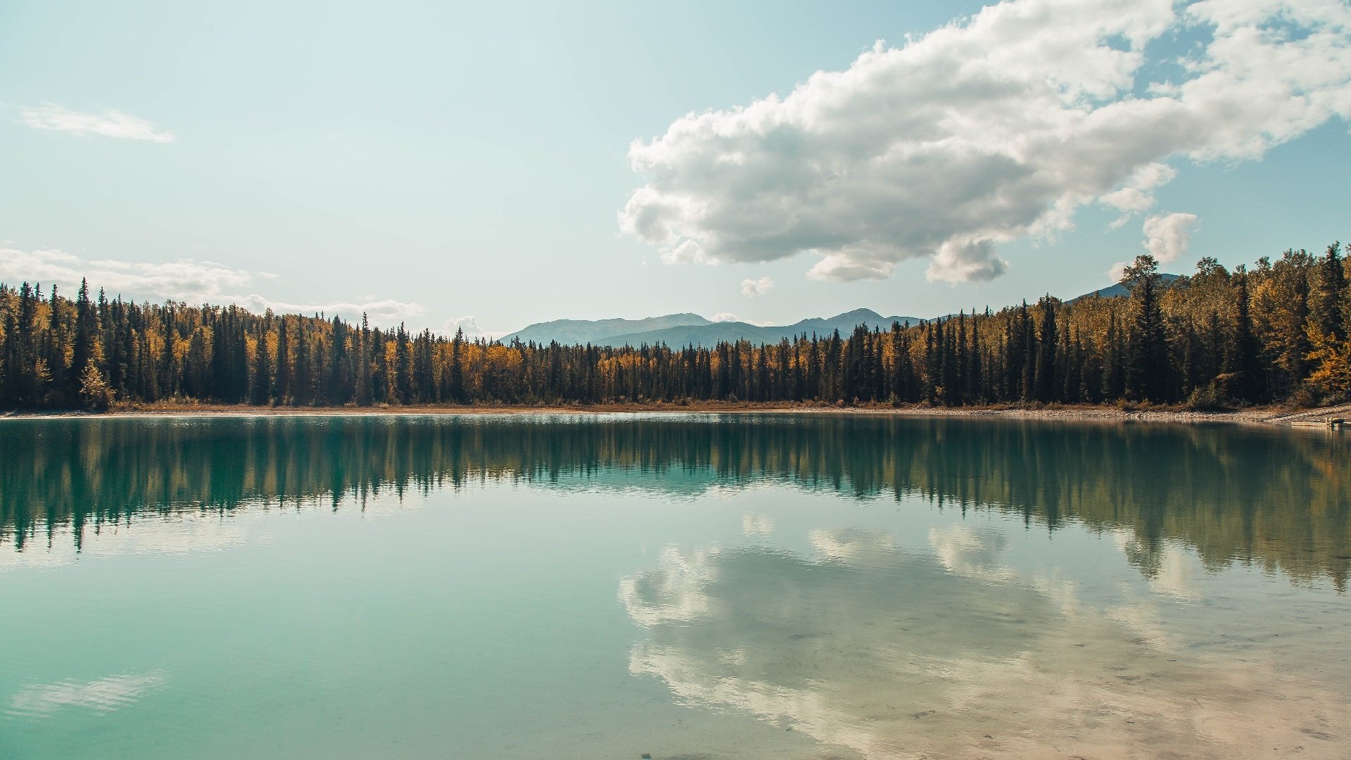 kaiyun网站-现场尬舞:比赛现场的趣味互动瞬间,尬舞battle 第2张 kaiyun网站-现场尬舞:比赛现场的趣味互动瞬间,尬舞battle 第2张