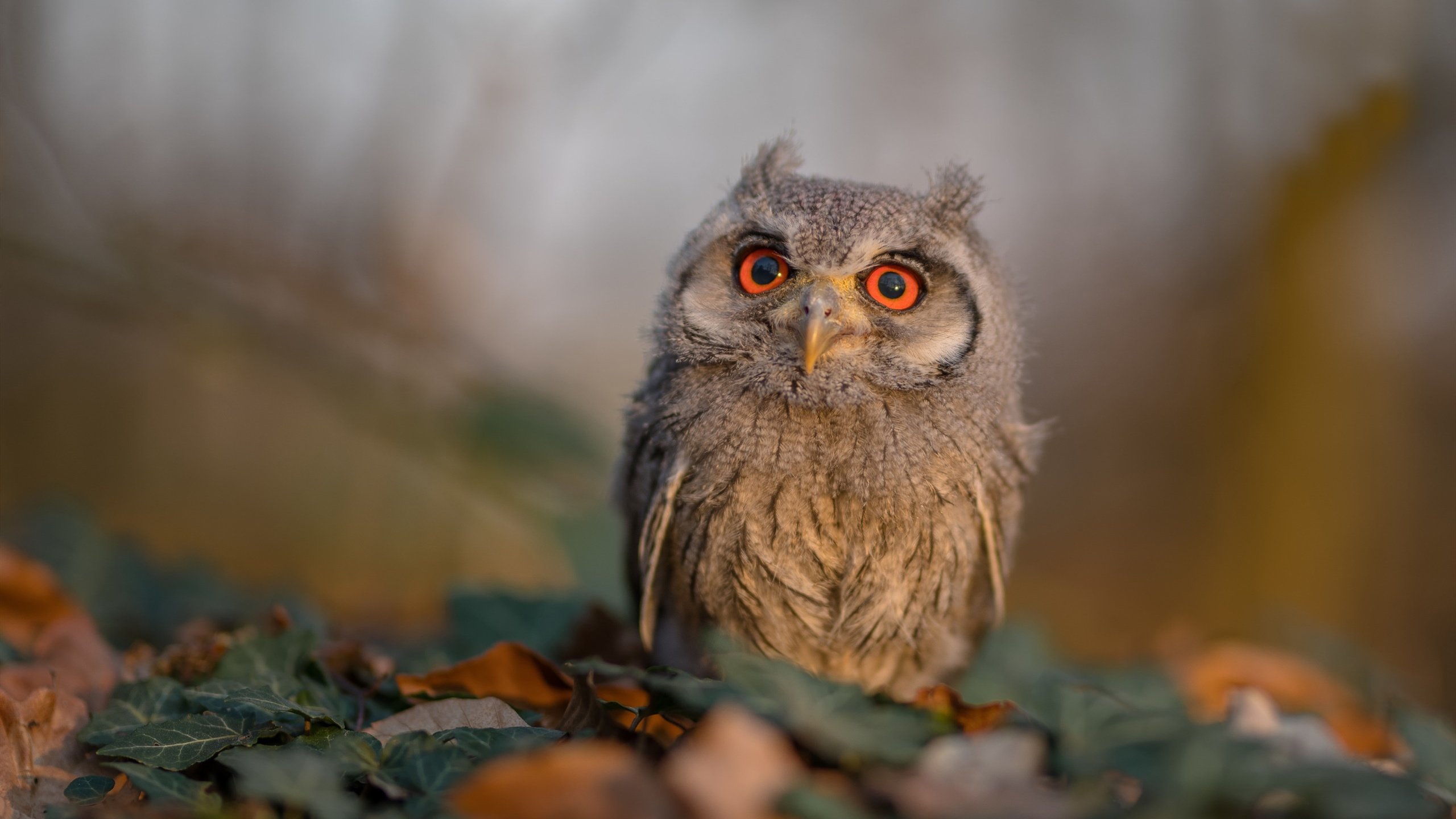 kaiyun.com-皇马再胜亚特兰大,问鼎欧洲超级杯,欧洲超级联赛皇马 第2张 kaiyun.com-皇马再胜亚特兰大,问鼎欧洲超级杯,欧洲超级联赛皇马 第2张