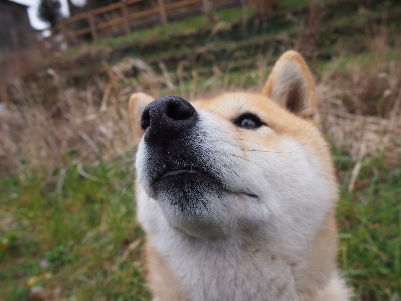 kaiyun官方网站-英超本轮比赛中多支豪门陷入困境,英超qg 第1张 kaiyun官方网站-英超本轮比赛中多支豪门陷入困境,英超qg 第1张