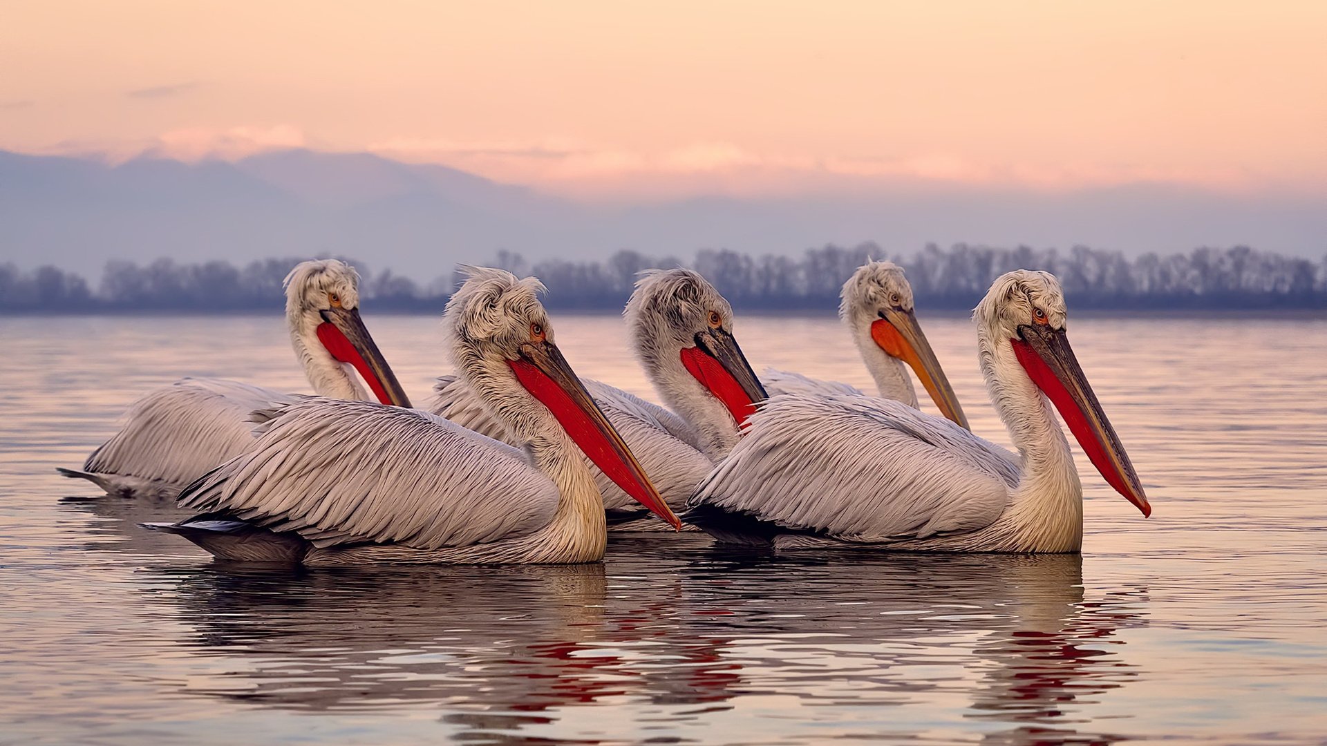 开云·体育官网APP下载-运动精神：比赛中的奋勇拼搏精神故事，运动精神的素材  第2张