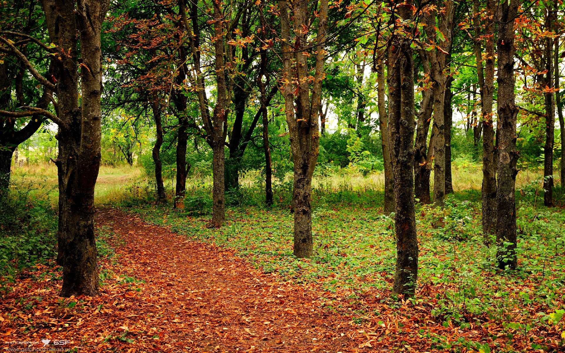 KAIYUN 中国大陆-青少年“拼搏梦想”全国篮球邀请赛在成都火热开赛，激发青春活力  第1张