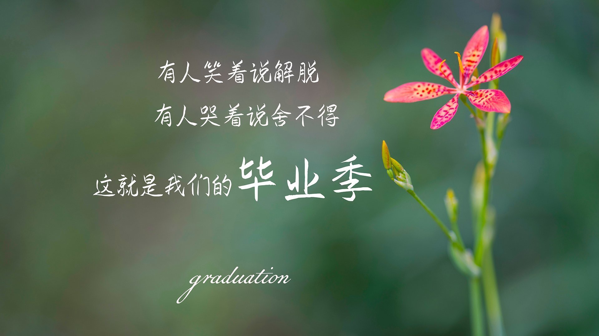 kaiyun登录入口-东契奇上演后撤步绝杀,东契奇 集锦 第2张 kaiyun登录入口-东契奇上演后撤步绝杀,东契奇 集锦 第2张