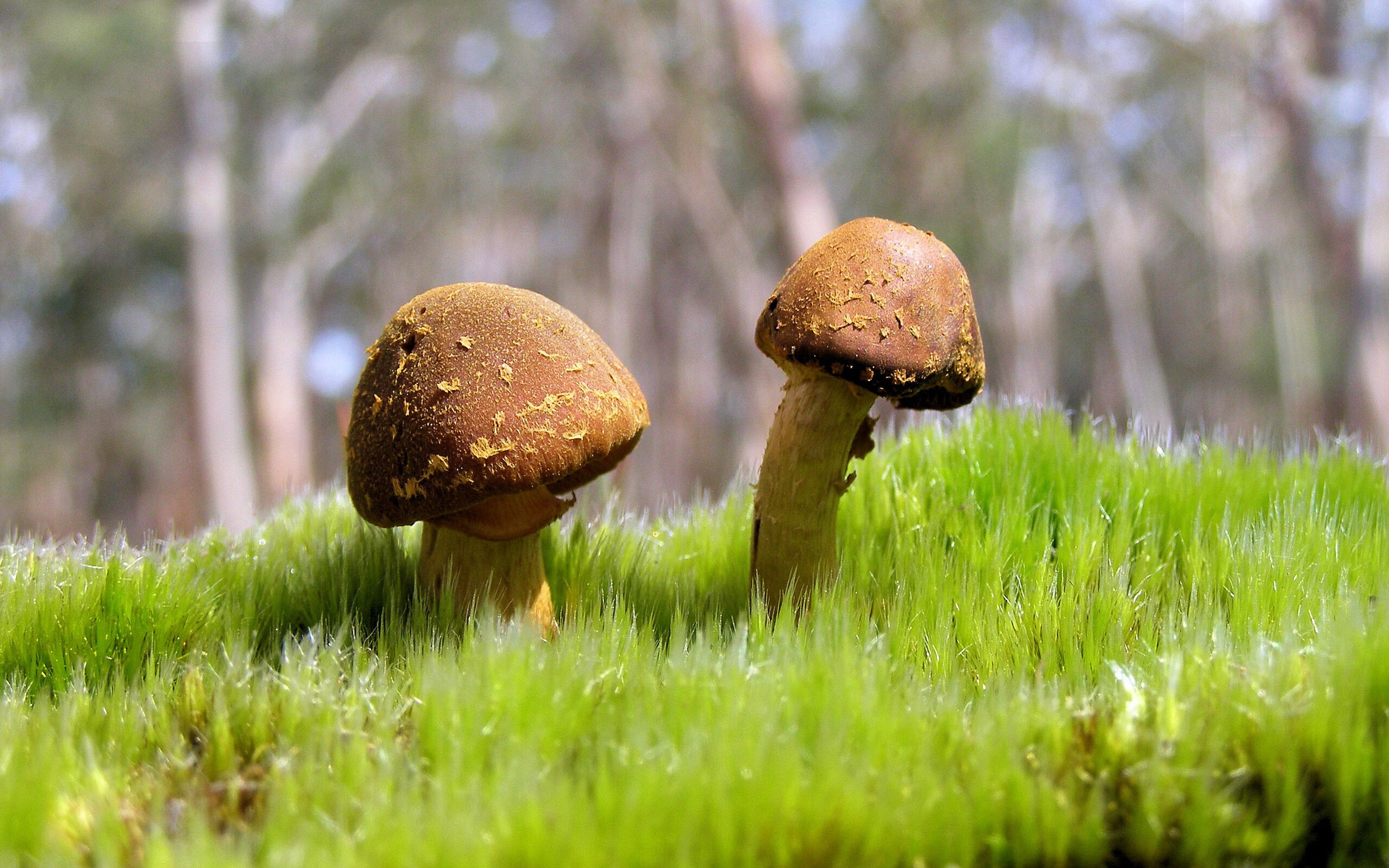 开云中国大陆-公牛压哨战胜勇士,季后赛首轮中德罗赞砍下47分,公牛赞助的比赛 第2张 开云中国大陆-公牛压哨战胜勇士,季后赛首轮中德罗赞砍下47分,公牛赞助的比赛 第2张