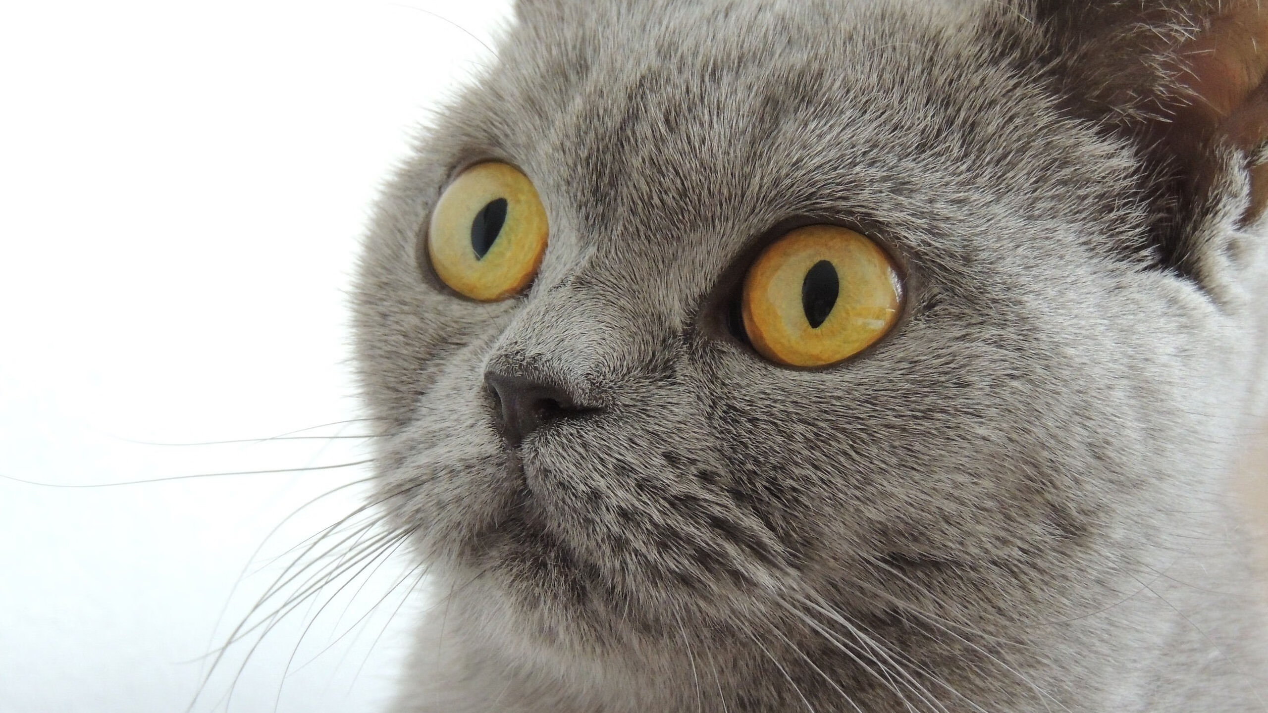 KAIYUNAPP-巴黎圣日耳曼遭逢困境,下轮势在必得,巴黎圣日耳曼在哪 第1张 KAIYUNAPP-巴黎圣日耳曼遭逢困境,下轮势在必得,巴黎圣日耳曼在哪 第1张