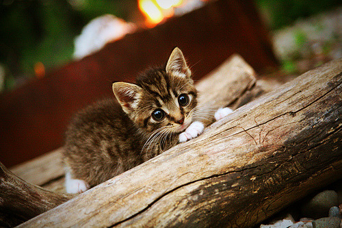 kaiyun.com-横滨水手备战亚冠联赛,横滨水手亚冠战绩 第2张 kaiyun.com-横滨水手备战亚冠联赛,横滨水手亚冠战绩 第2张