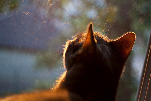 开云网页版登录入口-汉诺威东山再起，领先对手跌入降级区，汉诺威这个城市怎么样  第2张