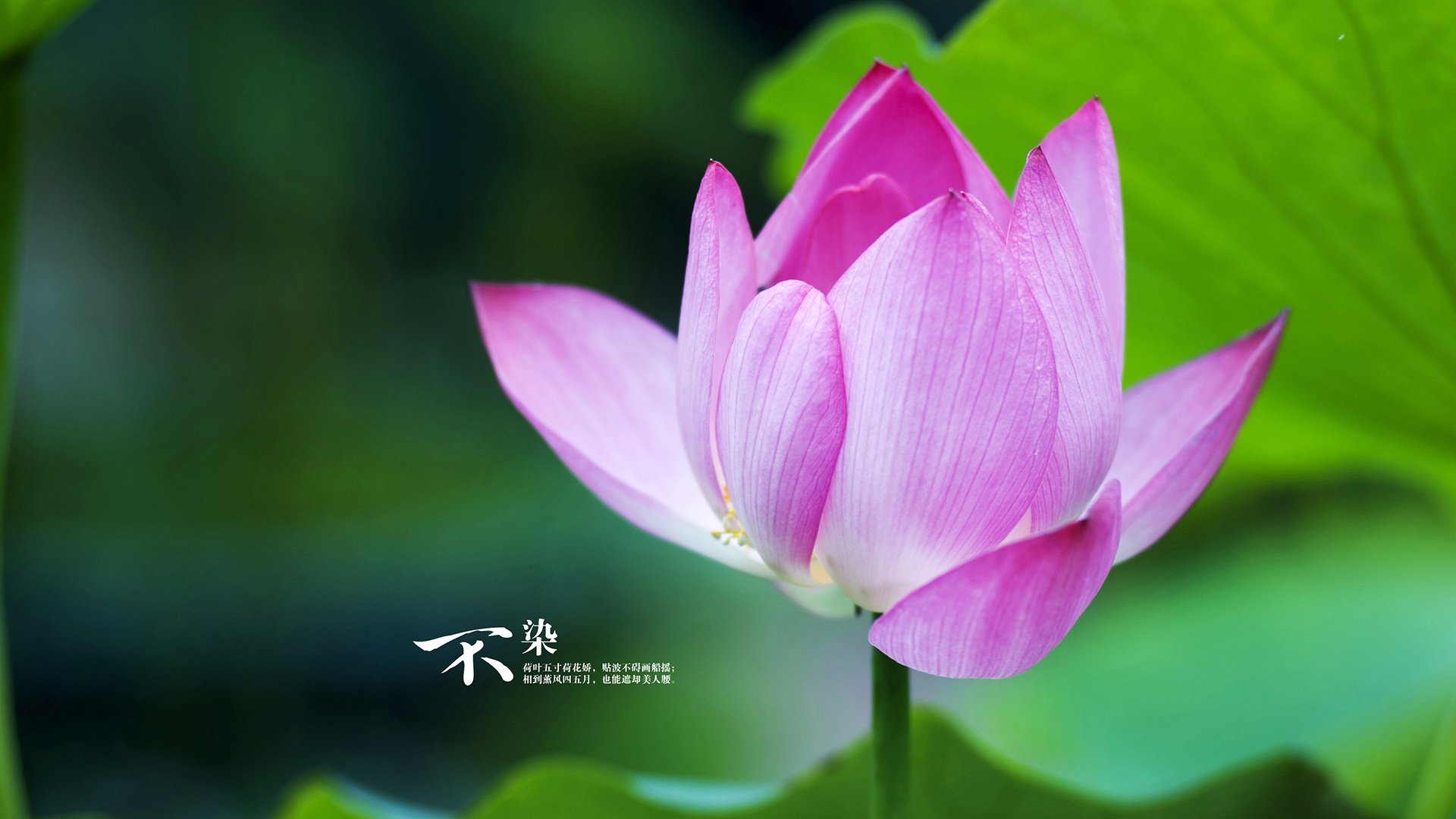 kaiyun官方入口登录-沃尔夫斯堡球员表现出色,助球队取得胜利,沃尔夫斯堡最新阵容 第1张 kaiyun官方入口登录-沃尔夫斯堡球员表现出色,助球队取得胜利,沃尔夫斯堡最新阵容 第1张