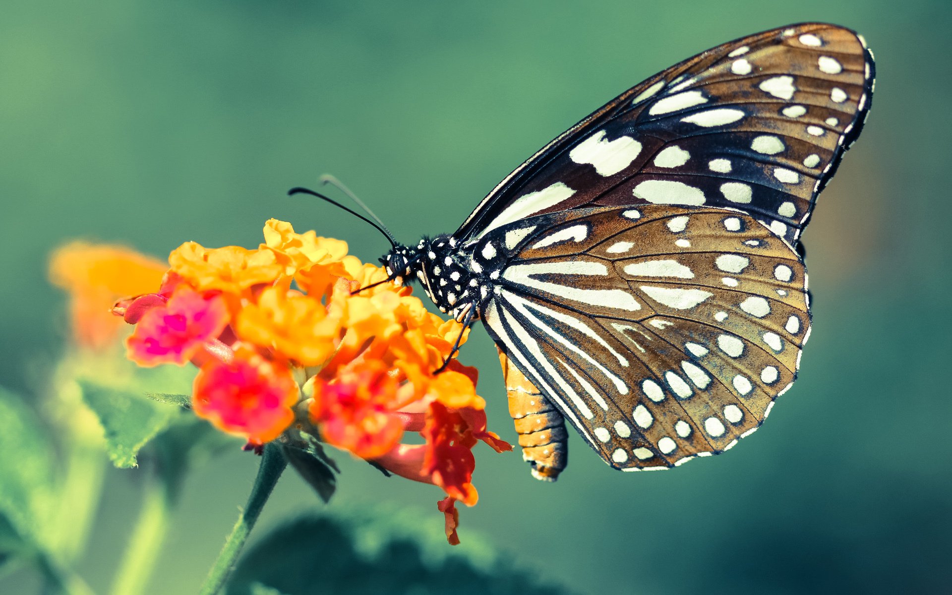 开云·体育官网-瓦伦西亚客场0-2不敌西班牙人,球队士气受挫,瓦伦西亚新球场现状 第1张 开云·体育官网-瓦伦西亚客场0-2不敌西班牙人,球队士气受挫,瓦伦西亚新球场现状 第1张