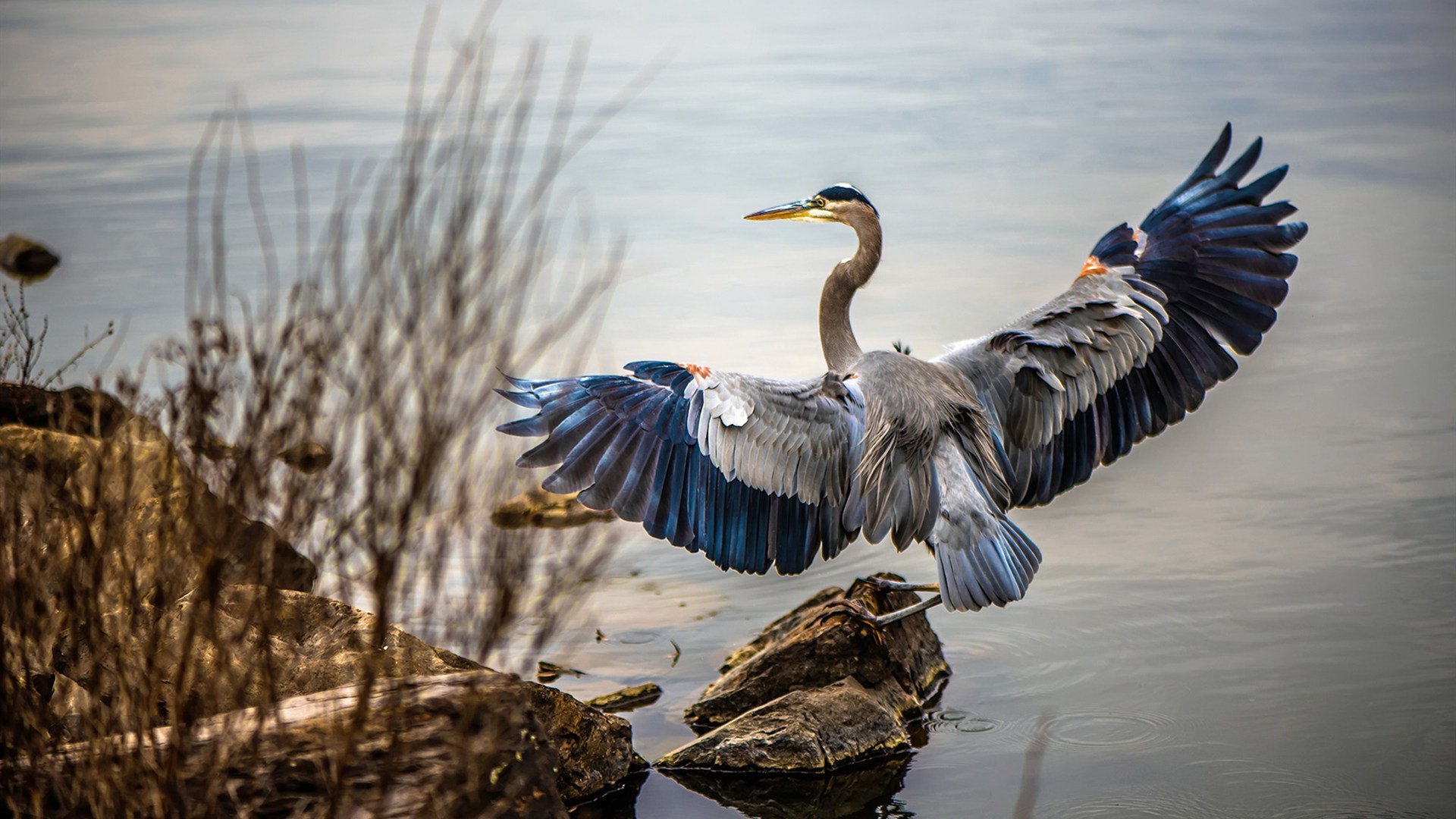 开云官方网页登录-皇马客场1-1战平巴列卡诺,错失两分,bale皇马 第1张 开云官方网页登录-皇马客场1-1战平巴列卡诺,错失两分,bale皇马 第1张