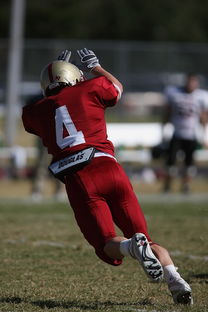 kaiyun登录入口-NBA球队国际市场拓展,nba开放球队国际营销权益,各队终可独自吸金 第4张 kaiyun登录入口-NBA球队国际市场拓展,nba开放球队国际营销权益,各队终可独自吸金 第4张