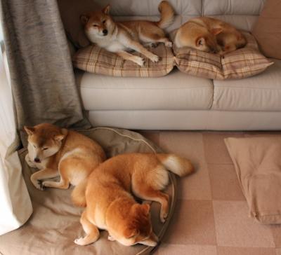 开云网页版登录入口-世界围棋巅峰对决柯洁力压日韩高手,世界围棋巅峰对决柯洁力压日韩高手是谁 第2张 开云网页版登录入口-世界围棋巅峰对决柯洁力压日韩高手,世界围棋巅峰对决柯洁力压日韩高手是谁 第2张