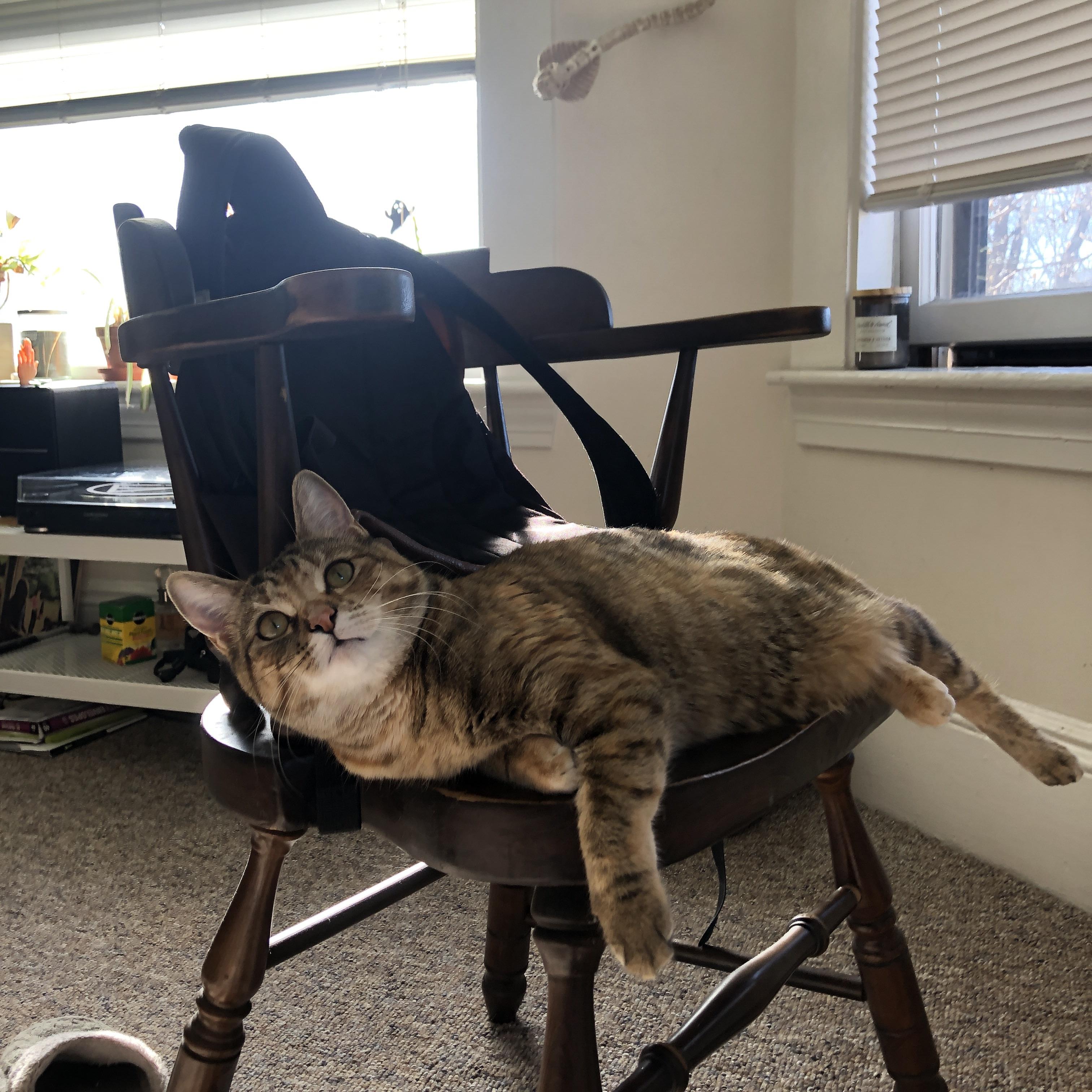 开云官方网站-世界青少年高尔夫锦标赛在青岛激战正酣，2021世界青少年高尔夫锦标赛  第5张