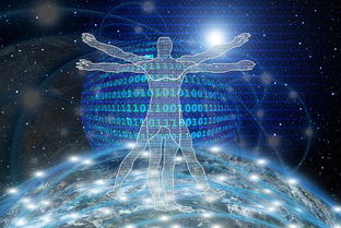 开云网站-中国足球青训人才成长周期趋势数据，中国足球青训将来的发展  第4张