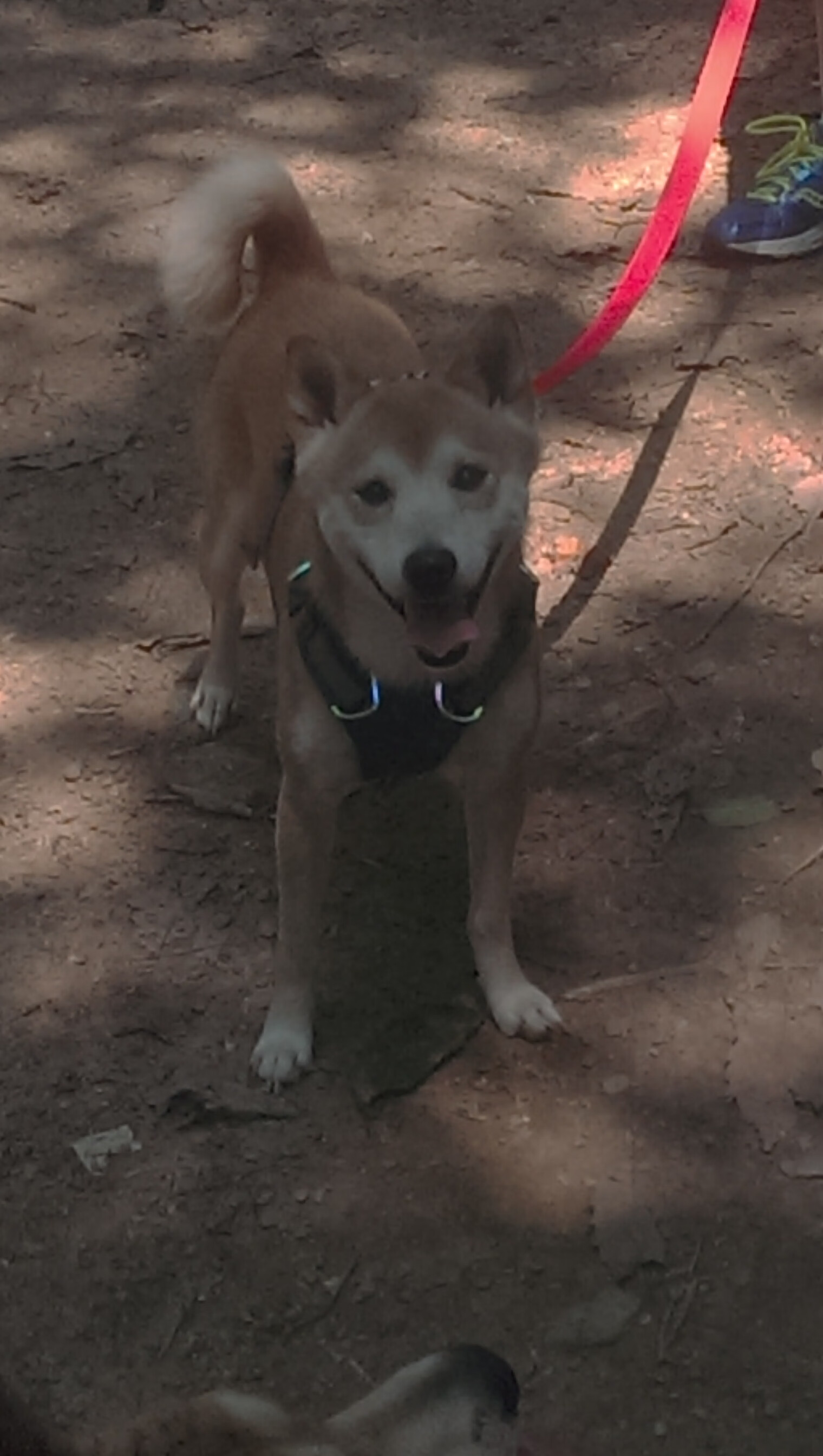 开云体育-国足比赛控球时间与得分时段匹配,国足的比赛时间是几分钟 第1张 开云体育-国足比赛控球时间与得分时段匹配,国足的比赛时间是几分钟 第1张