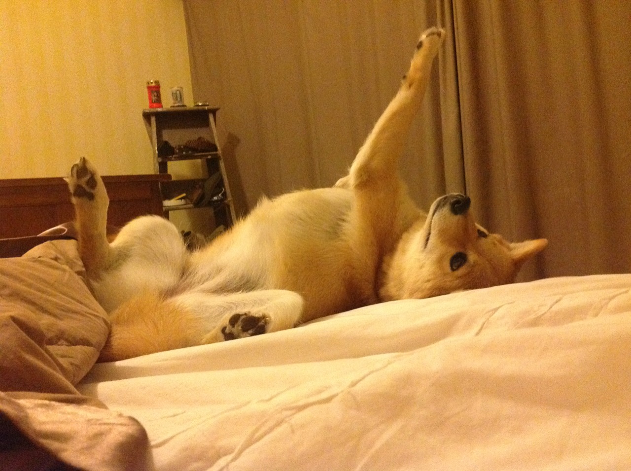 kaiyun体育综合-CBA新赛季揭幕 各队蓄势待发,cba新赛季赛程安排规则 第2张 kaiyun体育综合-CBA新赛季揭幕 各队蓄势待发,cba新赛季赛程安排规则 第2张