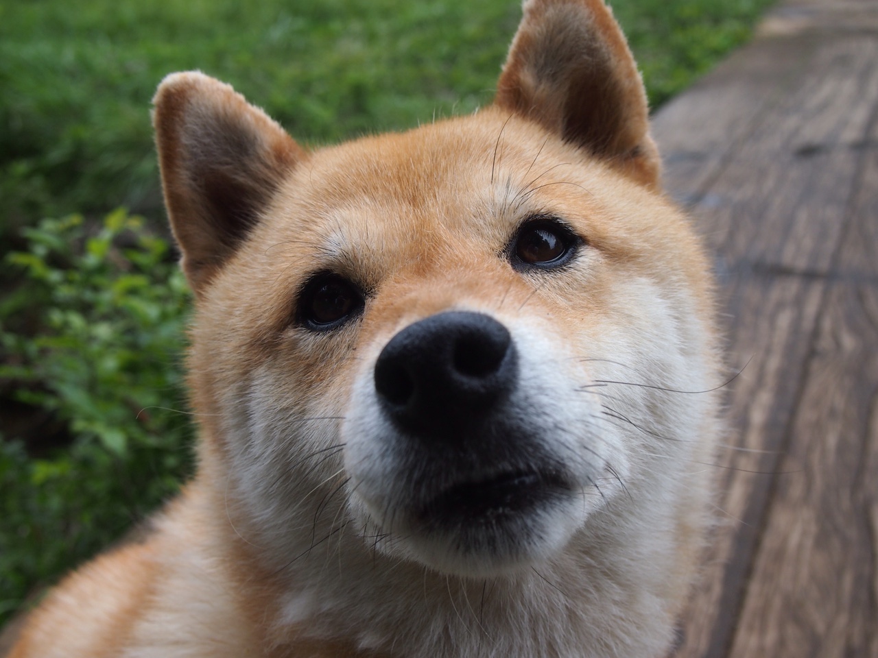 kaiyun网站-CBA联盟推动篮球文化城市融合发展，cba联赛的发展趋势  第2张