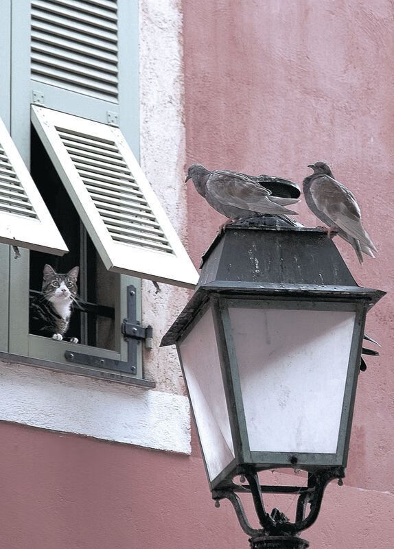 开云官网APP下载-体育新闻中心完成数字内容系统升级,体育新闻资讯 第1张 开云官网APP下载-体育新闻中心完成数字内容系统升级,体育新闻资讯 第1张