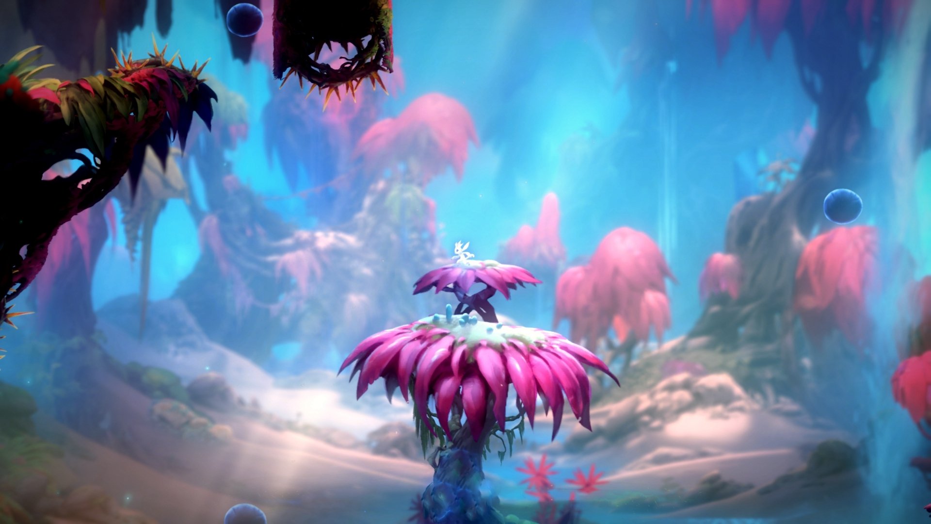 开云官方-体育新闻中心构建体育赛事全流程内容管理平台，体育赛事报道怎样写  第1张